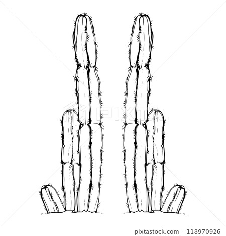 Nature tropical exotic desert plant succulent cactus aloe agave nopal. Hand drawn ink vector illustration isolated on white. Single element for travel, vacation brochure, print, botanical garden ads 118970926