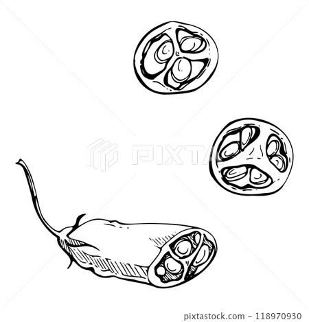 Mexican chili bell pepper, spicy vegetable jalapeno habanero salad ingredient. Hand drawn ink vector Isolated illustration. Design snack bar, delivery restaurant cafe menu, recipe book, farmers market Mexican chili bell pepper, spicy vegetable jalapeno habanero salad ingredient. Hand drawn ink vector Isolated illustration. Design snack bar, delivery restaurant cafe menu, recipe book, farmers market 118970930