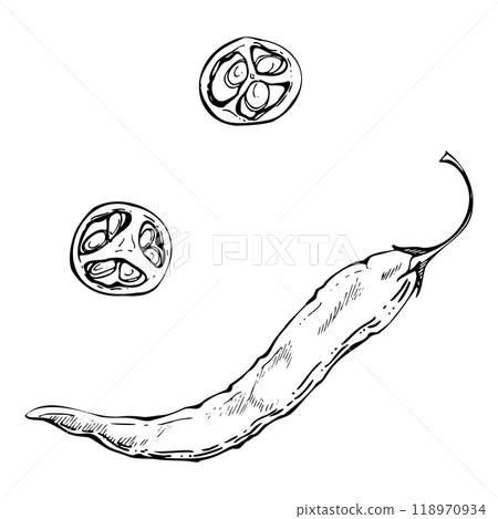 Mexican chili bell pepper, spicy vegetable salad ingredient jalapeno habanero. Hand drawn ink vector Isolated illustration. Design snack bar, delivery restaurant cafe menu, recipe book, farmers market Mexican chili bell pepper, spicy vegetable salad ingredient jalapeno habanero. Hand drawn ink vector Isolated illustration. Design snack bar, delivery restaurant cafe menu, recipe book, farmers market 118970934