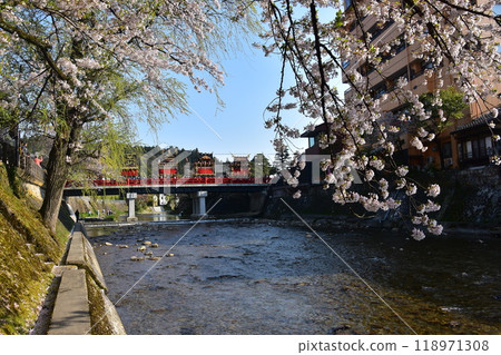 Takayama City, Gifu Prefecture, Japan, Spring Takayama Festival, Cherry blossoms in full bloom and food stalls crossing Nakabashi Bridge, beautiful fresh greenery, blue sky and Miyagawa River 118971308
