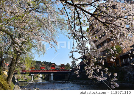 Takayama City, Gifu Prefecture, Japan, Spring Takayama Festival, Cherry blossoms in full bloom and food stalls crossing Nakabashi Bridge, beautiful fresh greenery, blue sky and Miyagawa River 118971310