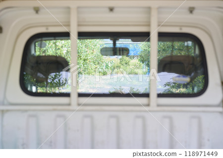 A pickup truck working on a blueberry farm 118971449