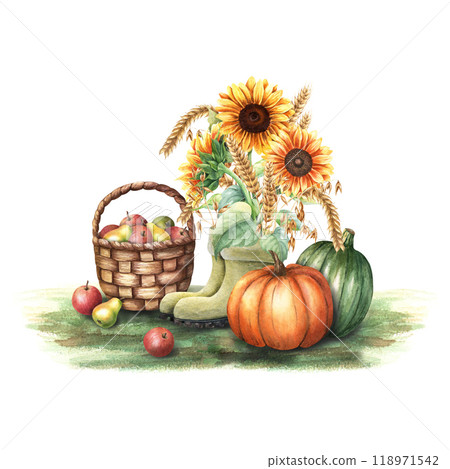 Watercolor fall composition. Bouquet of sunflowers, oat branches and ears of wheat in gumboots, basket with fruits, vegetables pumpkins. Illustration isolated on white. For clip art cards package 118971542