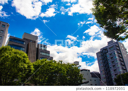 [Kyoto scenery] Sky and buildings on Oike Street 118972031