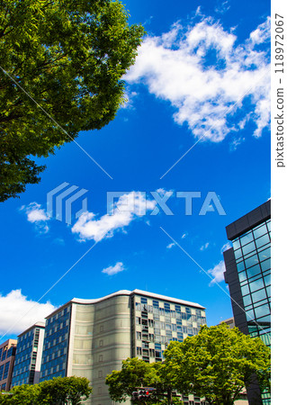 [Kyoto scenery] Sky and buildings on Oike Street 118972067
