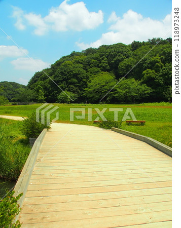 Satoyama landscape with a wooden bridge on a farm road in early summer 118973248
