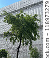 tree in front of building 118973279