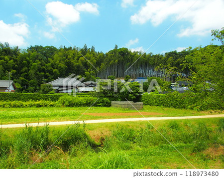 初夏的里山風景,田野和農道 初夏的里山風景,田野和農道 118973480