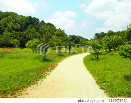 里山初夏鄉村道路風景 里山初夏鄉村道路風景 118973481