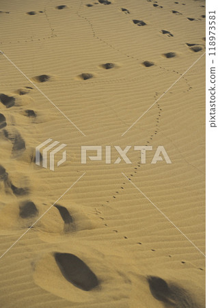 Summer in Tottori Prefecture, Tottori Sand Dunes: Wind ripples and footprints in the sand bathed in the pale light of early morning 118973581