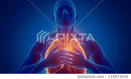 Lungs and Trachea - A 3D graphic of a person holding their chest in pain Lungs and Trachea - A 3D graphic of a person holding their chest in pain 118973636
