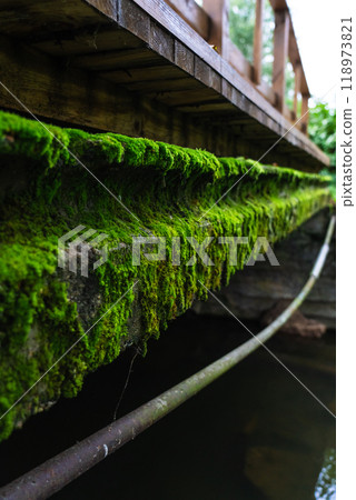 The concrete bridge over the river was covered with thick, green moss. Moss The concrete bridge over the river was covered with thick, green moss. Moss 118973821
