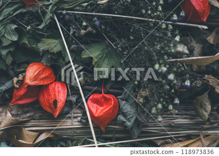 Physalis. Flowers are lanterns. Autumn background from the gifts of nature 118973836