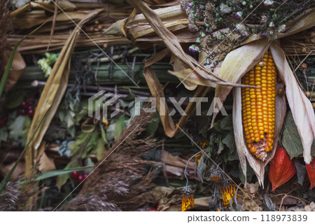 Autumn background from the gifts of nature. Harvest background, Thanksgiving day 118973839