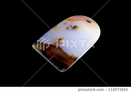 樹枝狀瑪瑙 蘊含風景的石頭 樹枝狀瑪瑙 蘊含風景的石頭 118973892