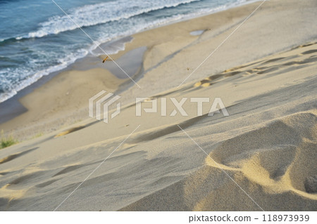 Summer in Tottori Prefecture: Wind ripples and dragonflies on the Tottori Sand Dunes Summer in Tottori Prefecture: Wind ripples and dragonflies on the Tottori Sand Dunes 118973939