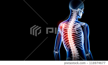 holographic image of human spine showing medical conditions in vertebral column. Brightly hologram on dark background highlights lumbar region issues. healthcare presentations holographic image of human spine showing medical conditions in vertebral column. Brightly hologram on dark background highlights lumbar region issues. healthcare presentations 118974677