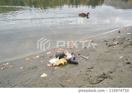 Single duck swimming in polluted lake near shore littered with trash showcasing Single duck swimming in polluted lake near shore littered with trash showcasing 118974730
