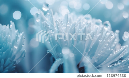 Close-Up of Dew-Covered White Flower Petals with Bokeh Background 118974888