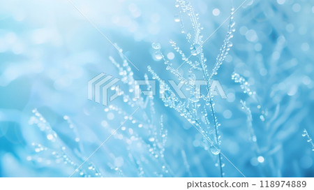 Dew-Kissed Branches in Blue - Tranquil Nature Background	 118974889