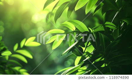 Forest - Close-up of vibrant green leaves, bathed in sunlight, creating a serene, fresh atmosphere Forest - Close-up of vibrant green leaves, bathed in sunlight, creating a serene, fresh atmosphere 118974890