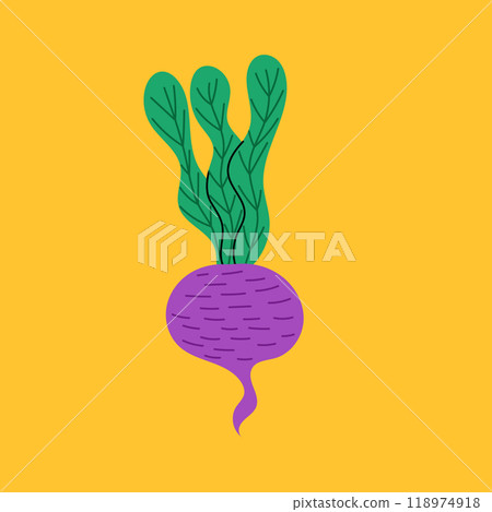 Doodle beetroot. Modern organic geometry minimal style. Cute nature garnish art. Vector flat icon. Vector illustration 118974918