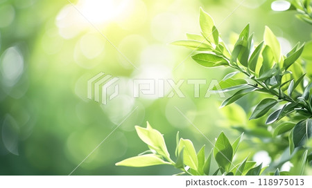 Fresh Green Leaves with Sunlight and Bokeh Background Fresh Green Leaves with Sunlight and Bokeh Background 118975013