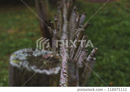 A fence made of vines. A fence made of branches. An Old Slavic fence of branches A fence made of vines. A fence made of branches. An Old Slavic fence of branches 118975112