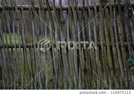 A fence made of vines. A fence made of branches. Old Slavic fence A fence made of vines. A fence made of branches. Old Slavic fence 118975113