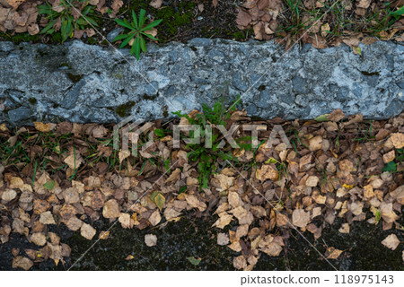 A broken curb on an old paved road. A road sprinkled with dry leaves 118975143