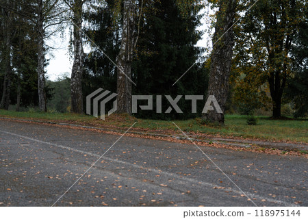 The old autumn Road. An old paved road sprinkled with dry leaves. Autumn Road 118975144