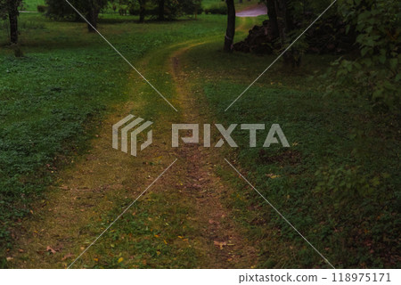 A forest dirt road, overgrown with grass. Cold, evening October 118975171