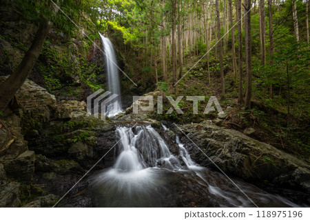 和歌山縣橋本市入之瀧 118975196