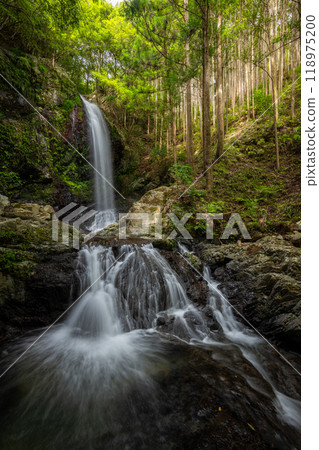 和歌山縣橋本市入之瀧 118975200