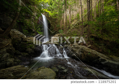 和歌山縣橋本市入之瀧 和歌山縣橋本市入之瀧 118975201