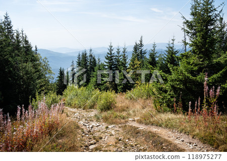 Kralova Hola from Sumiac, Slovakia 118975277