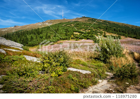 Kralova Hola from Sumiac, Slovakia 118975280