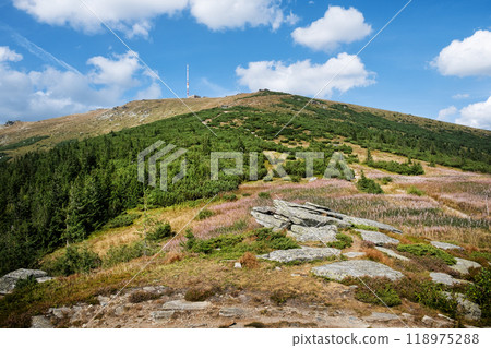 Kralova Hola from Sumiac, Slovakia 118975288