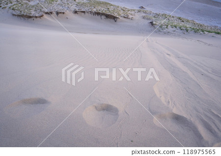 Summer in Tottori Prefecture, Tottori Sand Dunes: Wind ripples and footprints in the sand bathed in the pale light of early morning Summer in Tottori Prefecture, Tottori Sand Dunes: Wind ripples and footprints in the sand bathed in the pale light of early morning 118975565