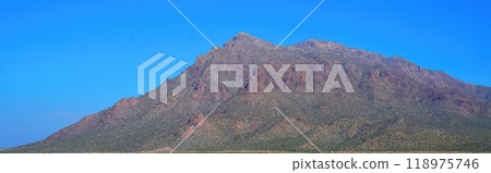 After The rain Sonora Desert Arizona Picacho Peak State Park After The rain Sonora Desert Arizona Picacho Peak State Park 118975746