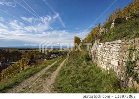 Small hiking trail around the old castle ruins on the vineyard in the wine village of Staufen im Breisgau near Freiburg Small hiking trail around the old castle ruins on the vineyard in the wine village of Staufen im Breisgau near Freiburg 118975862