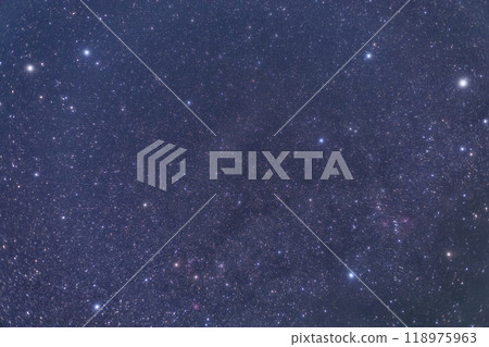 雙子座和餃子 雙子座和餃子 118975963