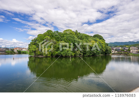 小內島天皇陵（奈良縣橛原市石川町） 118976083