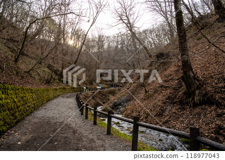 日本長野縣北作區伊澤市 — 2024年4月15日：白瀧瀑布位於日本長野縣北作區伊澤市。 118977043