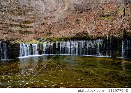 日本長野縣北作區伊澤市 — 2024年4月15日：白瀧瀑布位於日本長野縣北作區伊澤市。 118977048