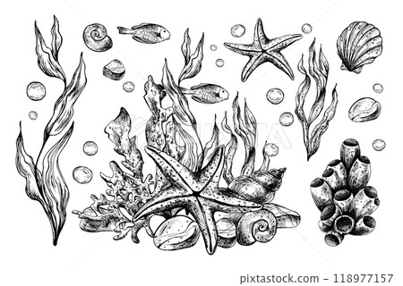 Underwater world clipart with sea animals starfishes, shells, coral and algae. Graphic illustration hand drawn in black ink. Set of isolated objects EPS vector. 118977157