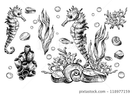 Underwater world clipart with sea animals seahorse, starfish, shells, coral and algae. Graphic illustration hand drawn in black ink. Set of isolated objects EPS vector. 118977159
