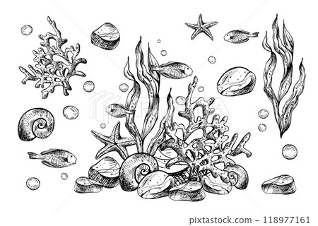 Underwater world clipart with sea animals fishes, shells, coral and algae. Graphic illustration hand drawn in black ink. Set of isolated objects EPS vector. 118977161