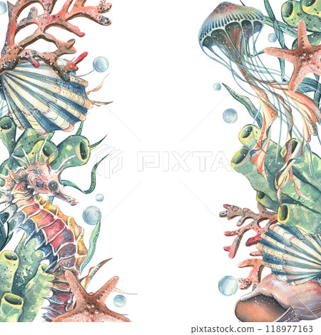 Seahorse, jellyfish, seashell, coral, starfish, sea sponge, algae, pebbles and bubbles. Hand drawn watercolor illustration of sea animals and the underwater. Template, frame square for the text. 118977163