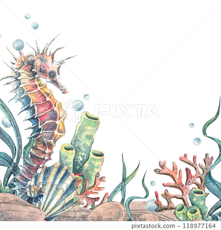 Seahorse, jellyfish, seashell, coral, starfish, sea sponge, algae, pebbles and bubbles. Hand drawn watercolor illustration of sea animals and the underwater. Template, frame square for the text. 118977164
